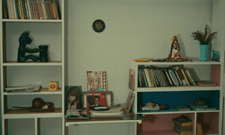 vlcsnap-2019-02-02-21h09m57s430.jpg