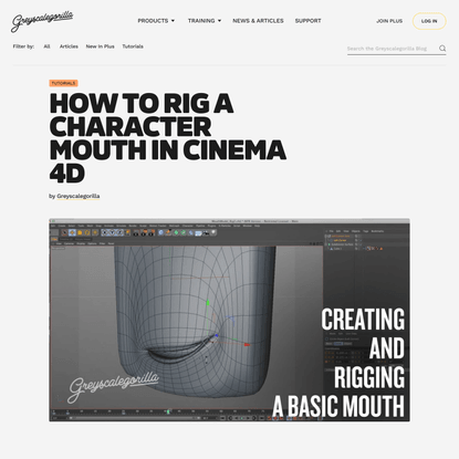 QUICK OVERVIEW OF RIGGING A MOUTH.