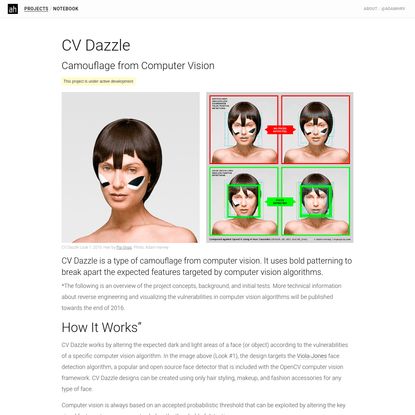 CV Dazzle - Adam Harvey