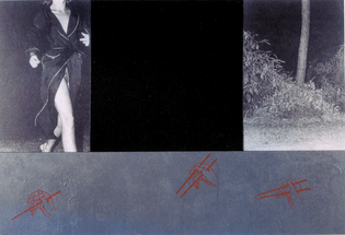 Descem por ela as mãos da noite Julião Sarmento, 1987 Técnica mista e fotografia sobre tela e madeira.