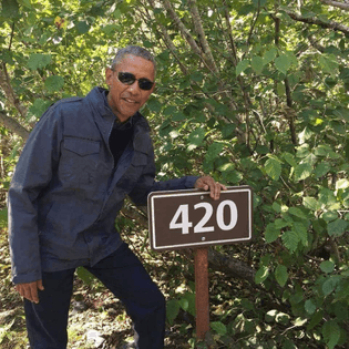 original_c9e079cb64261f1df145025dfb921a25.jpeg