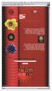 ISDM Website (1995)