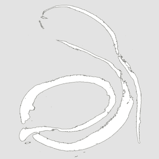 247538245_1323705658059682_4454933286263621819_n.jpg?_nc_ht=scontent-ham3-1.cdninstagram.com-_nc_cat=110-_nc_ohc=9wie7bi1gj0...