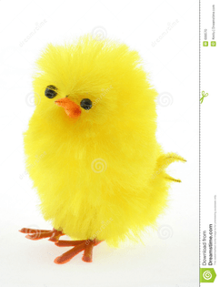 easter-toy-chicken-real-macro-699570.jpg