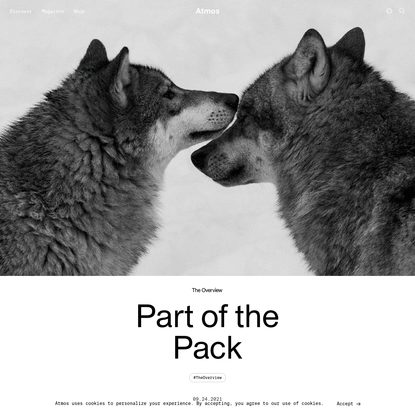 Part of the Pack