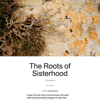 The Roots of Sisterhood | Atmos