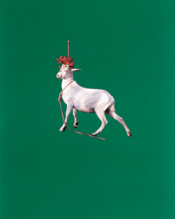 Sarah Charlesworth, Goat, 1985