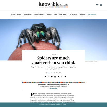 Spiders are much smarter than you think