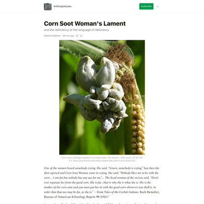 Corn Soot Woman's Lament - by Matthew Battles - Anthropostures