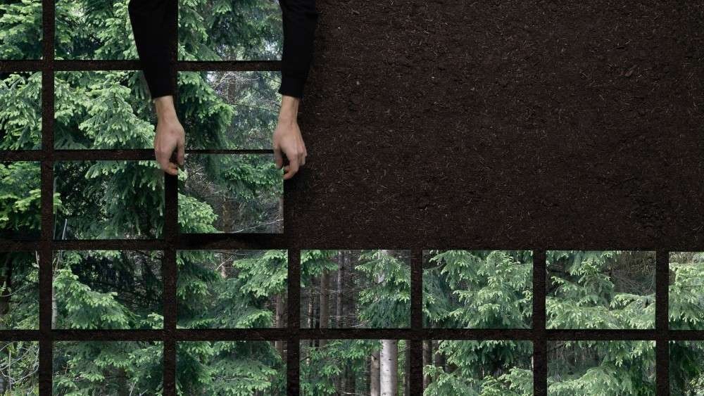 cambio-seeing-the-wood-for-the-trees-formafantasma-pinup-magazine-22-1000x563-q60.jpg