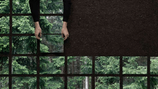 cambio-seeing-the-wood-for-the-trees-formafantasma-pinup-magazine-22-1000x563-q60.jpg
