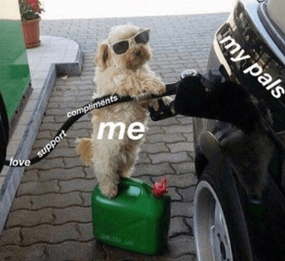 DJFd2ztXYAENtoo.jpg