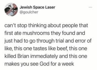 🍄