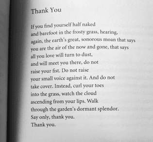 “Thank You” by Ross Gay
