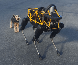 dog-and-robot-biomimicry.jpg.1000x0_q80_crop-smart.jpg