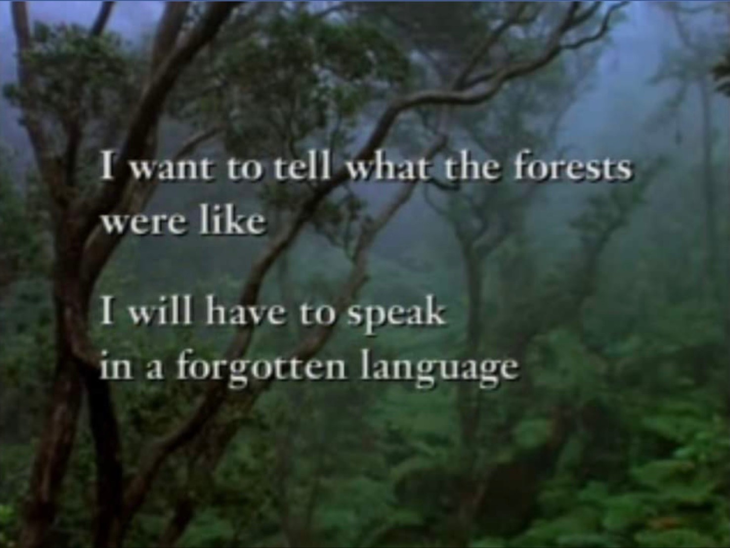 “Witness,” W. S. Merwin 