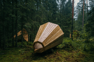 Estonian forest amplifier, "forestphone"