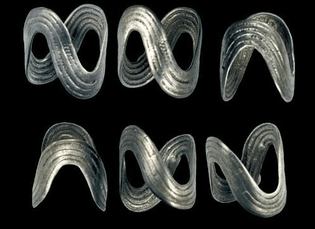 Silver “saddle rings” from the Celtic hillfort at Židovar (Banat region), northern Serbia. (2-1 c. BC)