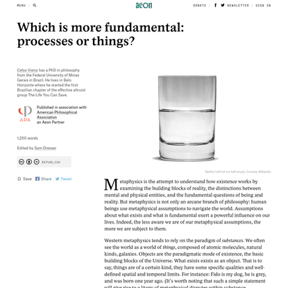Which is more fundamental: processes or things? - Celso Vieira | Aeon Ideas