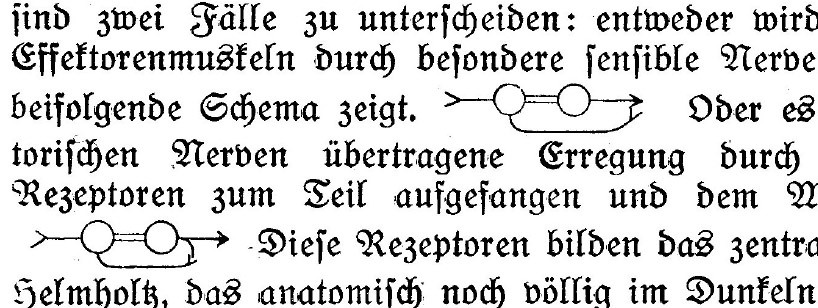 Umwelt – Small circular Feedback Pictograms between the Text