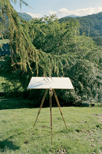 larch4_photo_final_web.jpg