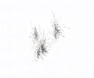 larch4drawing_detail_final.jpg