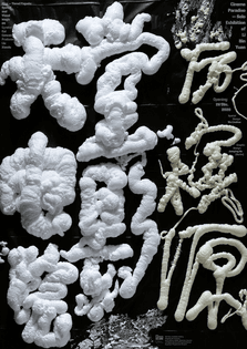 Li Bin Yuan Solo Exhibition