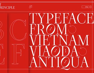 Viaoda Typeface (Libre) - Free on Google Fonts