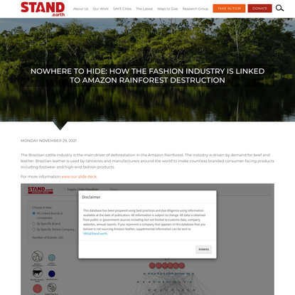 Nowhere to Hide: How the Fashion Industry is Linked to Amazon Rainforest Destruction