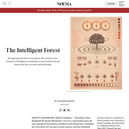 The Intelligent Forest | NOEMA