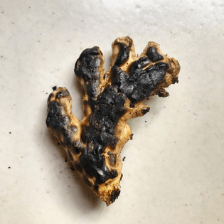 charred ginger root