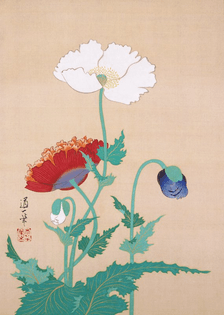 Sakai Dōitsu - Poppies, late 19th - early 20th century