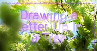 Drawing a Letter Up In a Tree