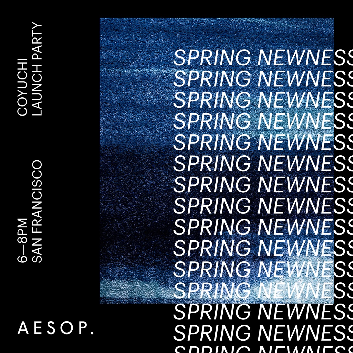 spring-newness.jpg?format=1500w