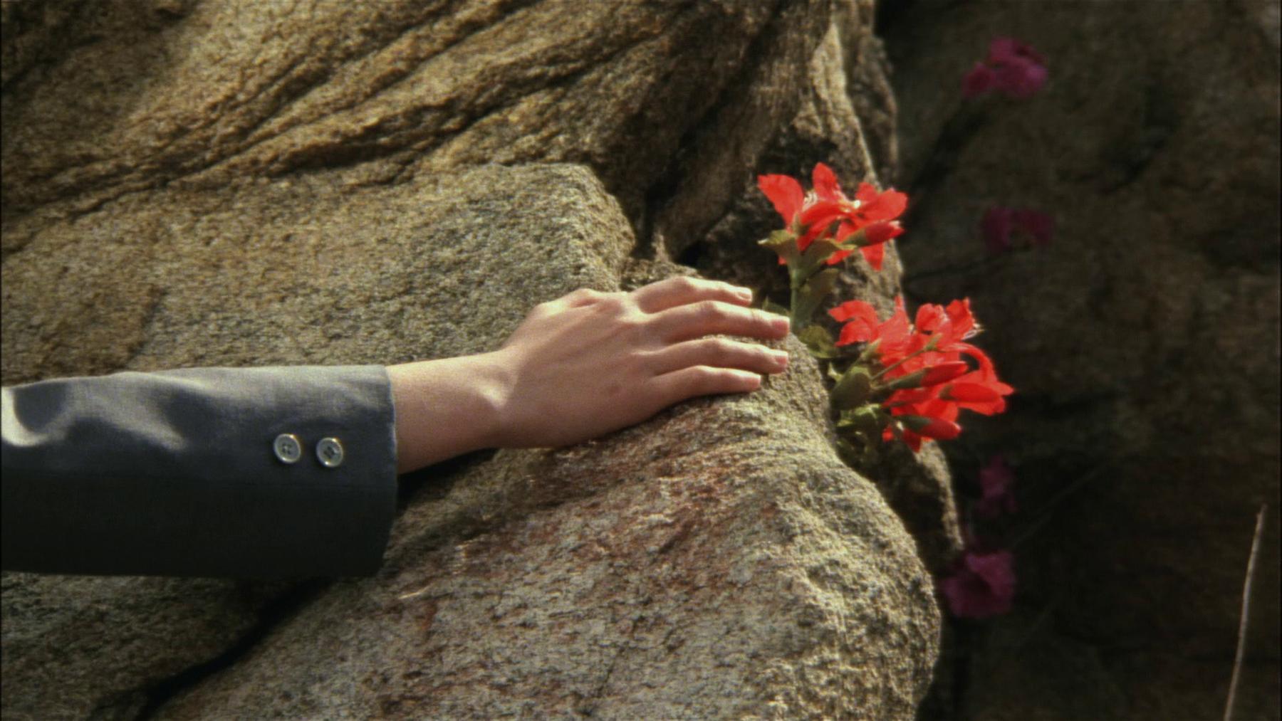 The Girl Who Leapt Through Time, dir. by Nobuhiko Obayashi (1983)