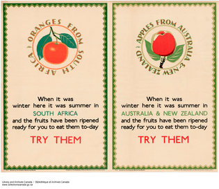 try_them-oranges_from_south_africa-_apples_from_australia_-_new_zealand_-_essayez-les_-_-_oranges_d-afrique_du_sud_et_pommes...