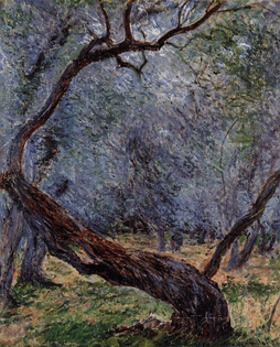 20_study-of-olive-trees-claude-monet-1884.jpg