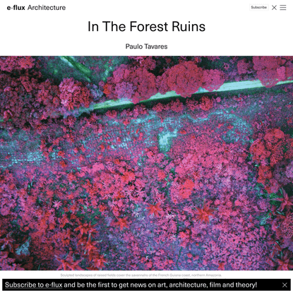 In The Forest Ruins - Architecture - e-flux
