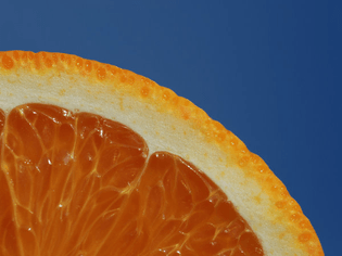 orange-vesicle.jpeg