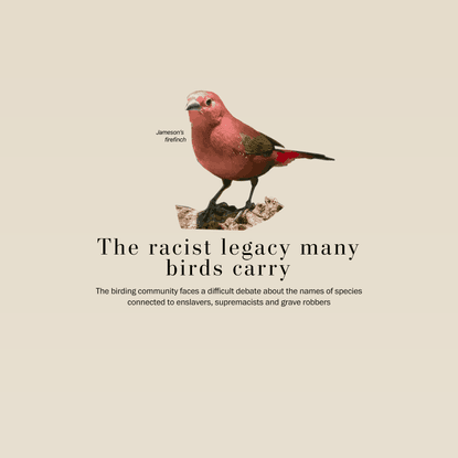 Bird lovers are grappling with honorary names linked to racists. Audubon tops the list.