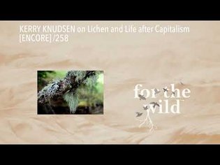 KERRY KNUDSEN on Lichen and Life after Capitalism [ENCORE] /258