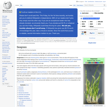 Seagrass - Wikipedia