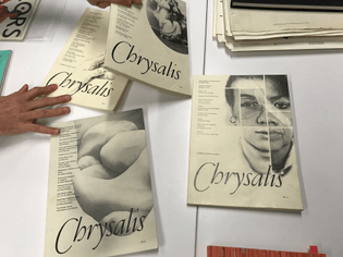 Chrysalis, designed by Sheila Levrant de Bretteville 