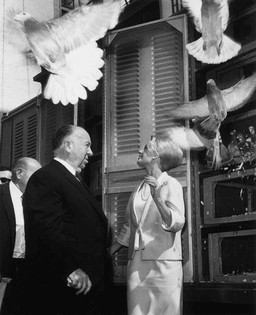tippi.jpg