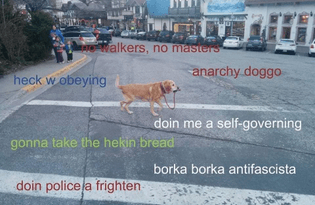 8d678e12-5a69-41f1-b221-c095ebec80d0.jpeg