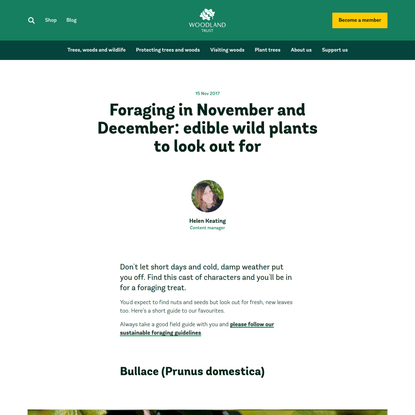 Foraging in November and December