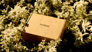 juniper_packaging_01.jpg