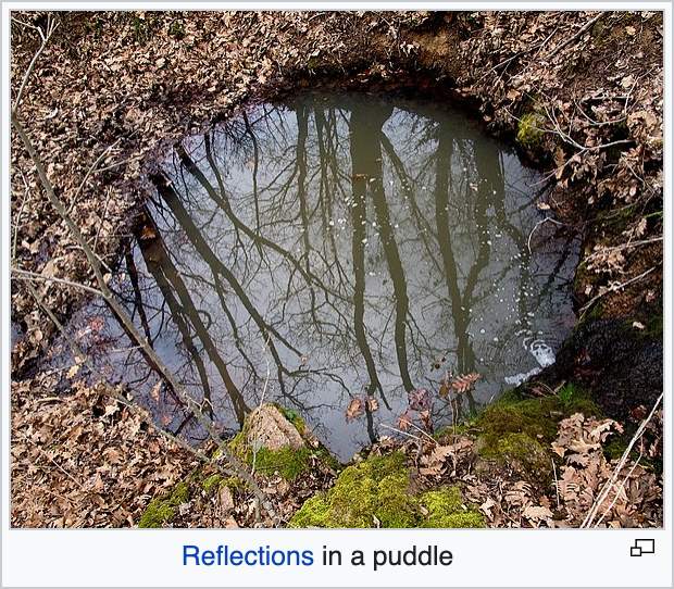 en.wikipedia.org_wiki_puddle.png