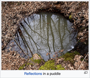 en.wikipedia.org_wiki_puddle.png