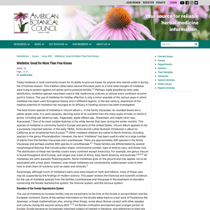 Mistletoe: Good for More Than Free Kisses - American Botanical Council